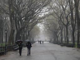 Will it rain in Central park on Friday May 29th 2026?