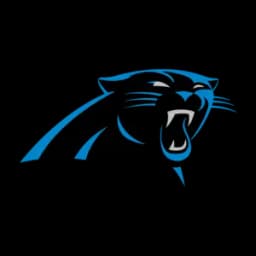 Will the Panthers win the NFC South?