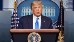 Will Trump say "Apple" during the Armenian PM bilateral on August 8?
