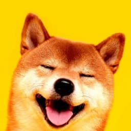 Doge ETF approved in 2024?