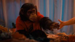 Will "Primate" Opening Weekend Box Office be between 9m and 11m?