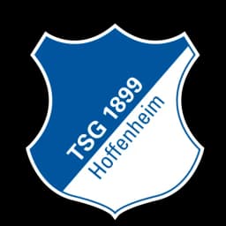 Will Hoffenheim beat Lyon?