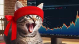 Roaring Kitty shows dexscreener in livestream?