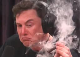 Elon Musk post "retardio" in April?