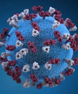 1,000+ Measles cases in U.S. before May?