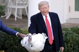 Will Trump pardon both turkeys?