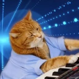 Will Keycat reach $1b first?
