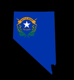 Will Bruce Grego be the Republican nominee for NV-02?