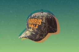 Harris gets more Republican voters than Biden?