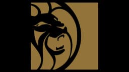 Will MGM Resorts be acquired before 2027?