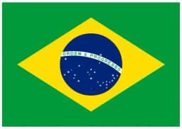 Will Brazil win the 2022 World Cup?